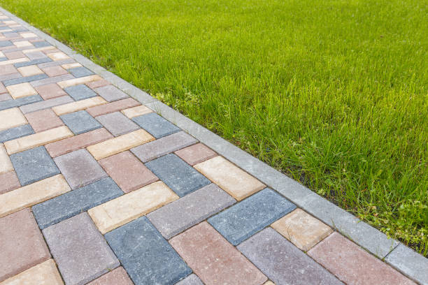 Best Driveway Pavers for Homes  in Beacon Hill, WA